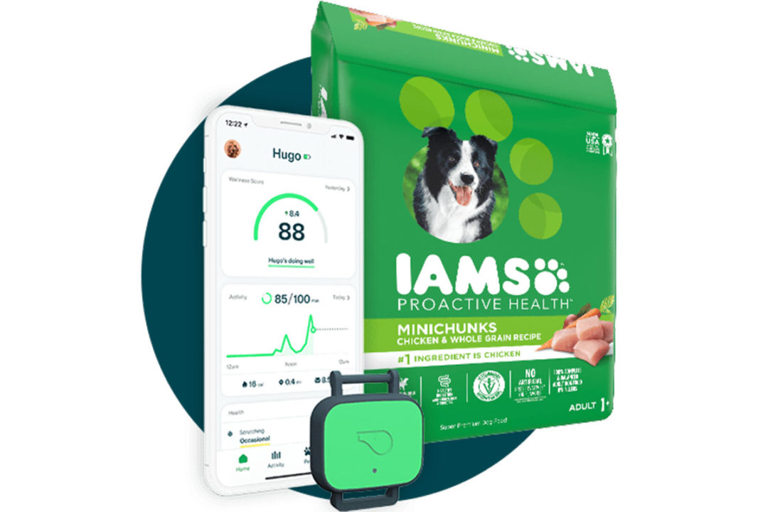 IAMS partners with Whistle Health to further data-driven tailored pet nutrition