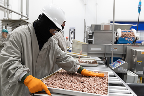 Workers at Petsource prep products for freeze-drying