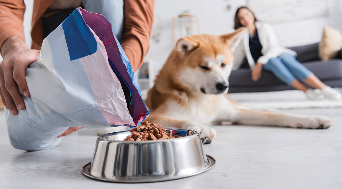 Pet owners buy with their eyes, so creating products that are visually appealing is paramount