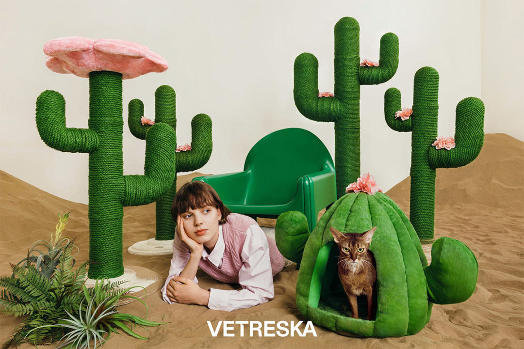 VETRESKA FUTURE PET FOOD recieves millions in investment from Quest FoF