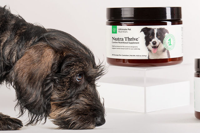 Ultimate Pet Nutrition celebrates sales milestone for its Nutra Thrive dog supplement product
