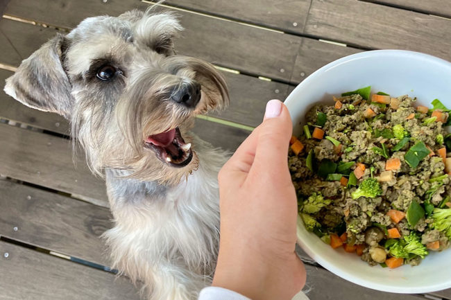 Human-grade pet food company Pet's Table recently closed a seed funding round