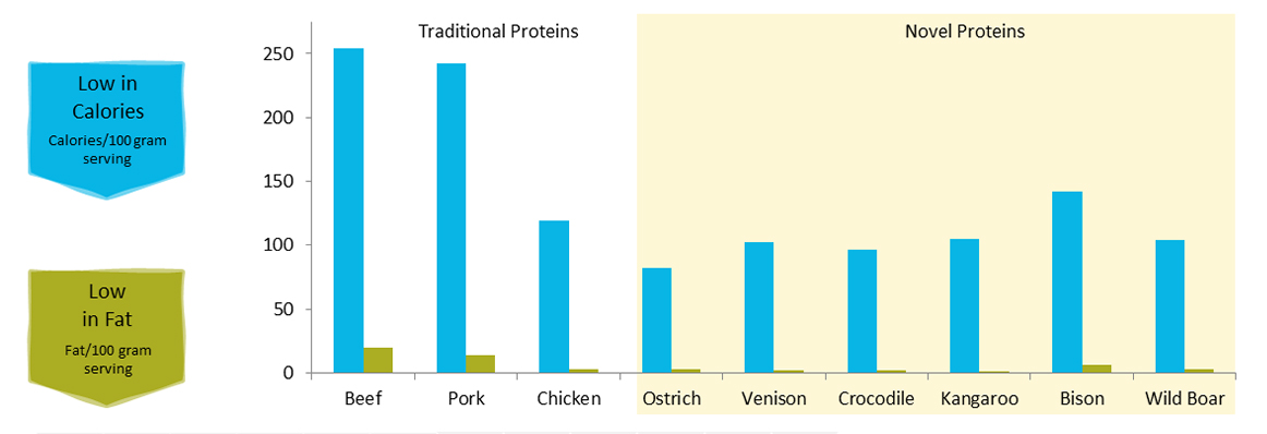 Due to the nature of how they are sourced, novel proteins are often higher in protein and lower in fat and calories than traditional proteins.