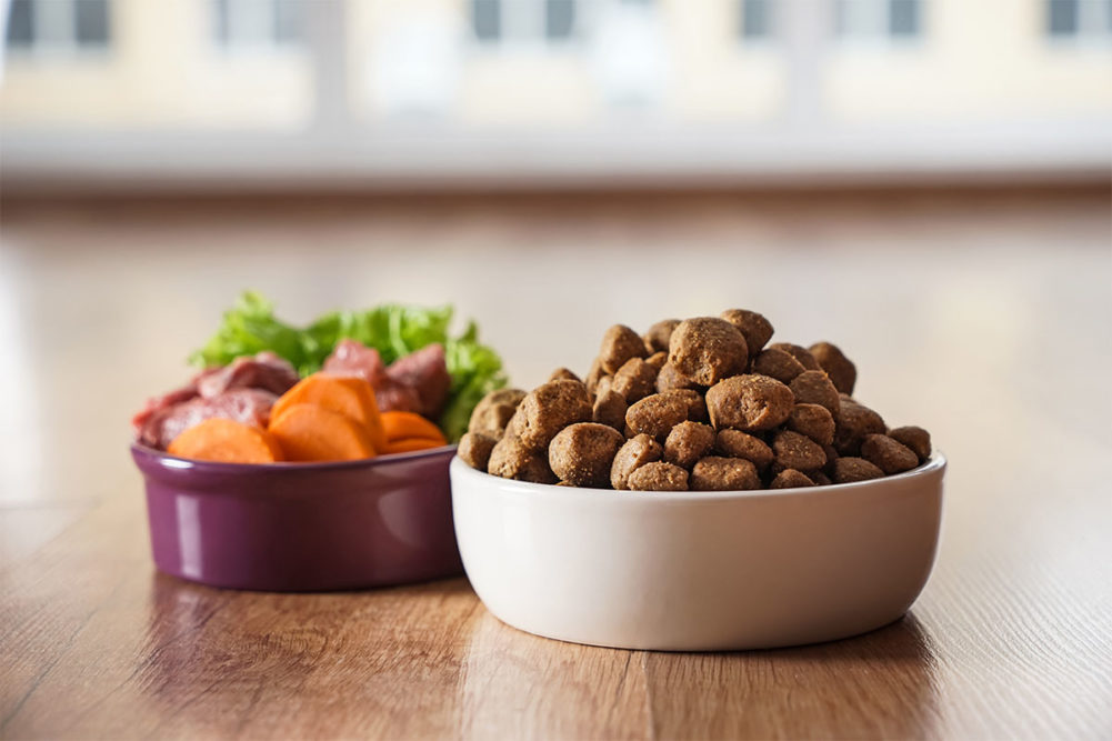 AAFCO releases new human-grade pet food production standards
