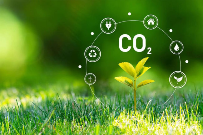 Corbion updates sustainability goals