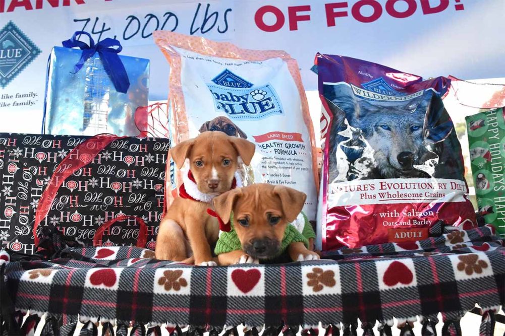 Blue Buffalo donates pet food to several animal shelters in San Diego and New York City