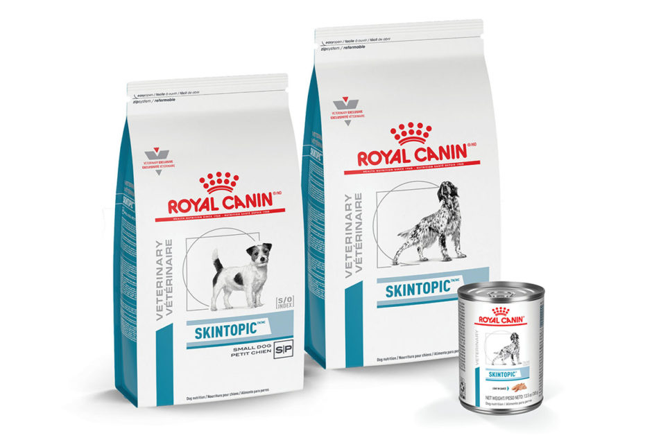 een miljard verdrietig merknaam Royal Canin debuts new diet to tackle skin disease in dogs | Pet Food  Processing
