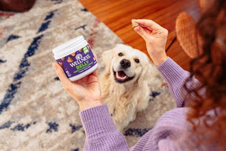 Wellness Pet Company launches a line of dog supplements