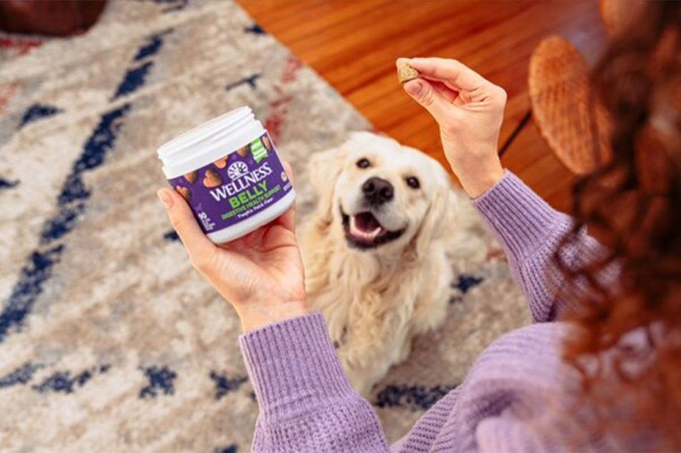 Wellness Pet Company debuts its first supplement line