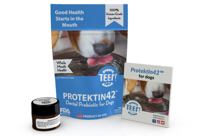TEEF for Life teases new product launches to support oral health in dogs and cats
