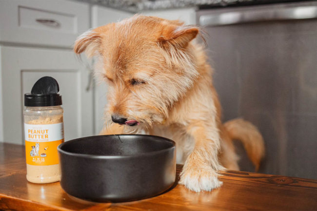 Apollo and Luna enter the pet nutrition market with a new functional dog food topper