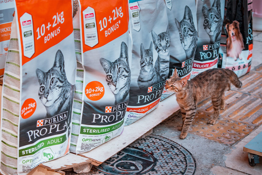Purina shares strategies to drive growth during Nestle's CAGNY presentation