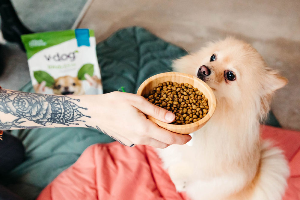 Study demonstrates nutrition efficacy of v-dog's plant-based dog food