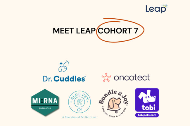 Leap Venture Studio & Academy shares startups for seven cohort