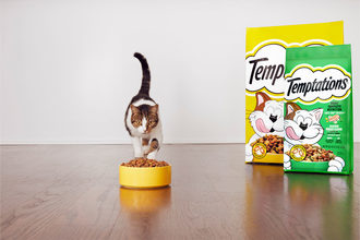 TEMPTATIONS launches its first complete-and-balanced cat food formula