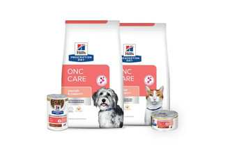 Hill's Pet Nutrition's new Prescription Diet ONC Care for dogs and cats with cancer