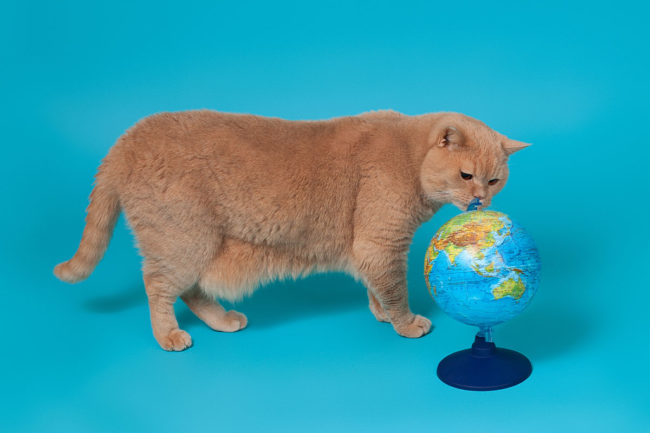 Pet Sustainability Coalition to host 2023 Earth Day Rally 