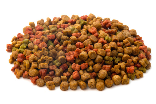 TAMU to host workshop on extruded pet foods and treats