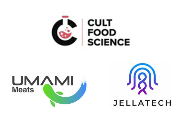CULT Food Science forms partnerships with Umami Meats and JellaTech to create cell-based cat treats and dog food