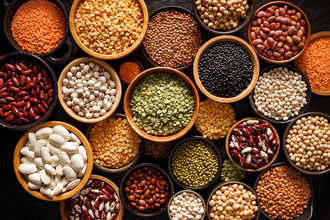 New study from the University of Guelph claims DCM is not linked to pulses