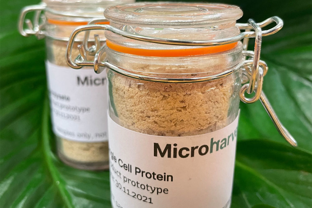 MicroHarvest recognized for sustainable, fermented protein