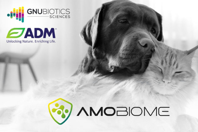 ADM licenses Gnubiotics' AMOBIOME ingredient