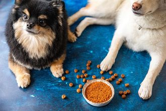 QRILL Pet study compares effectiveness of various Omega 3 sources in dogs