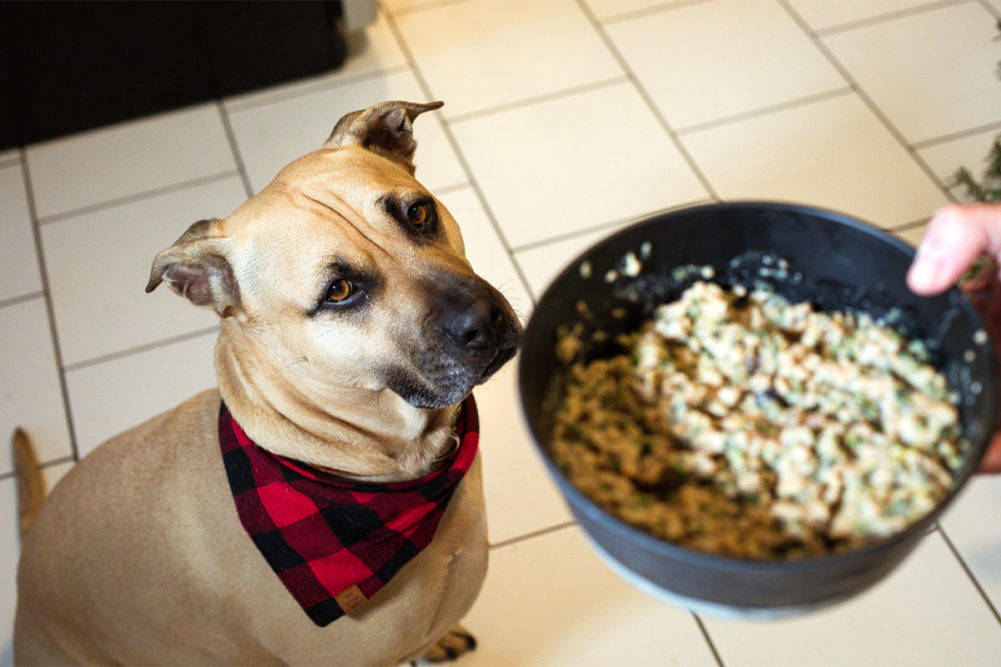 California Dog Kitchen launches new organic certified dog food recipe