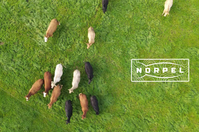 NORPEL recieves accreditation from the Pet Sustainability Coalition