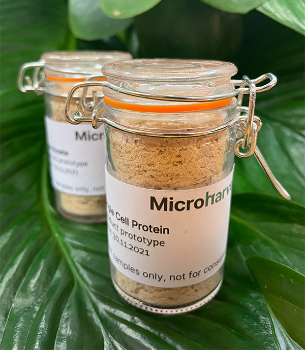 MicroHarvest produces fermented protein ingredients for use in food, pet food and animal feed