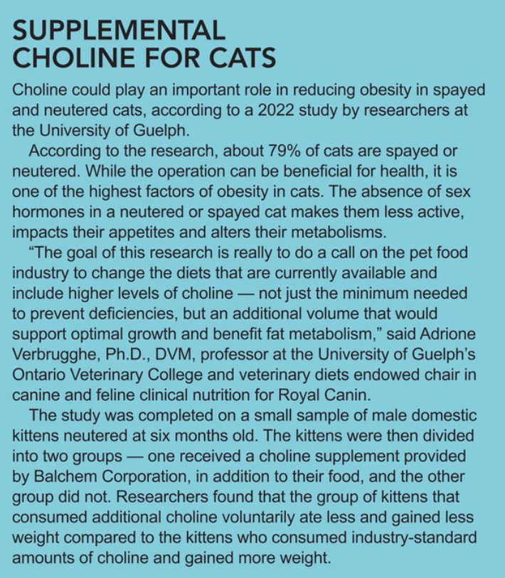 Supplemental choline for cats