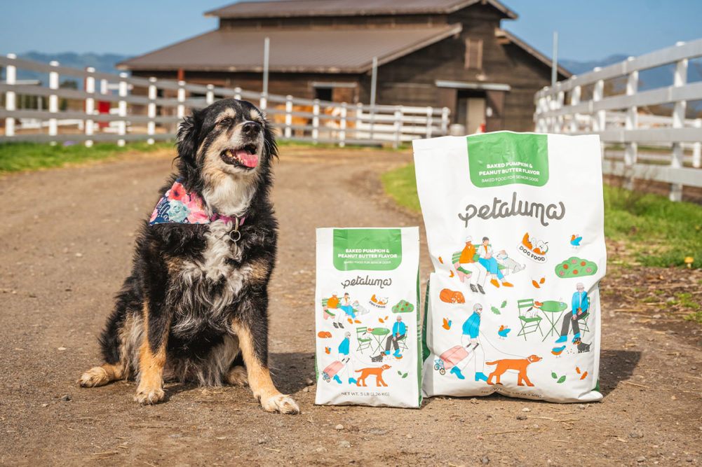 Petaluma launches Baked Pumpkin & Peanut Butter Flavor dog food for senior dogs
