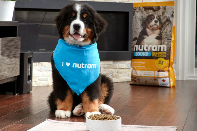 Nutram Pet Products' pet food formulas are now available at Pet Planet locations in Canada