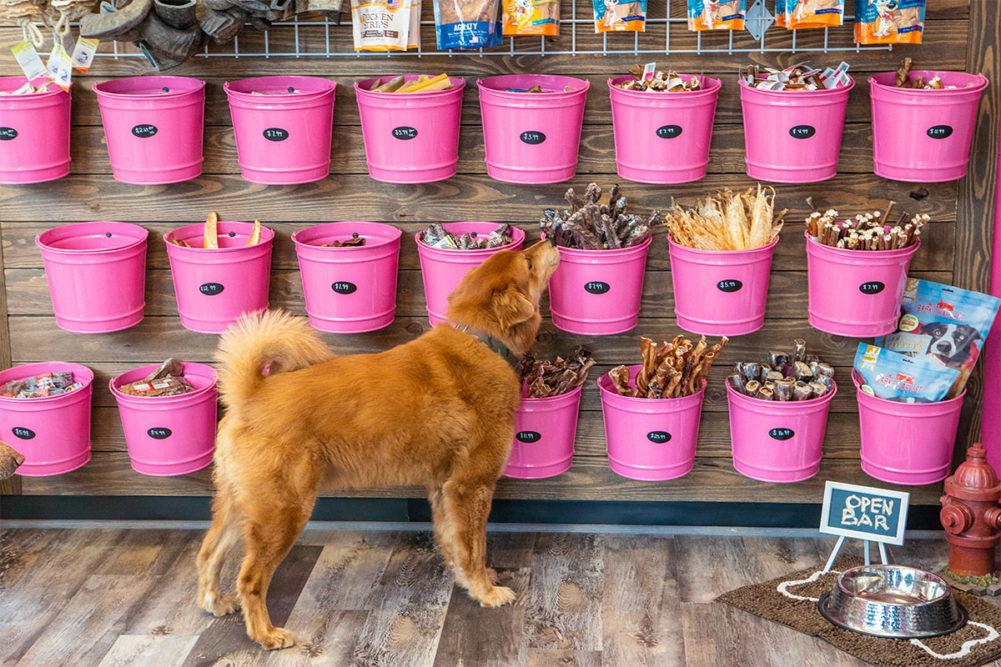 Woof Gang Bakery & Grooming plans to open new retail location in Illinois