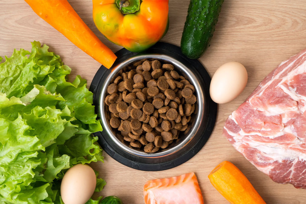 The Council of the European Union shares new labeling rules for organic pet foods