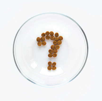 Pet food kibble in the shape of a question mark