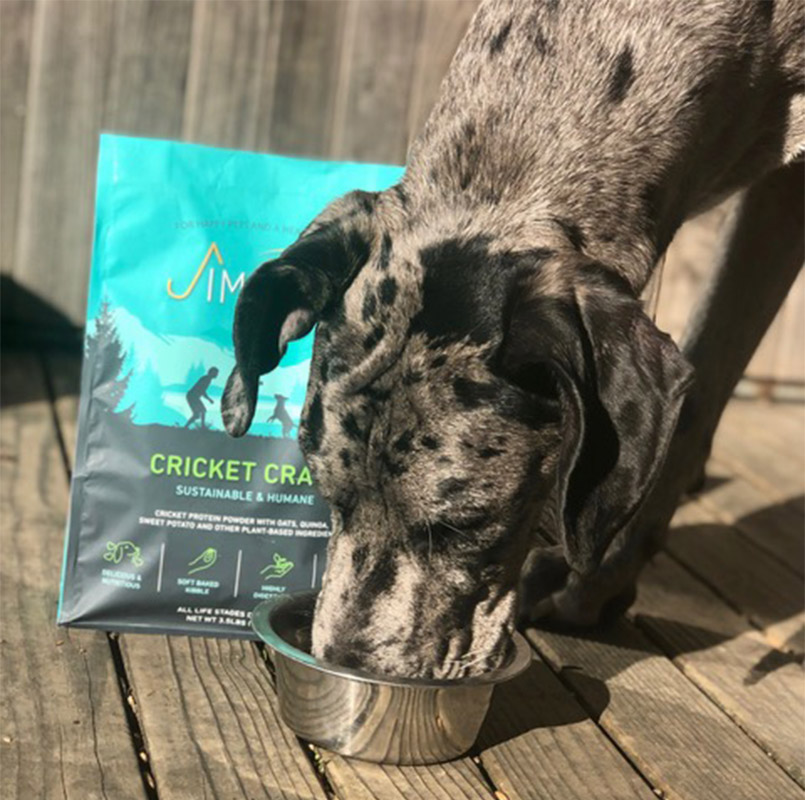 Jiminy's uses cricket protein in its dog nutrition products