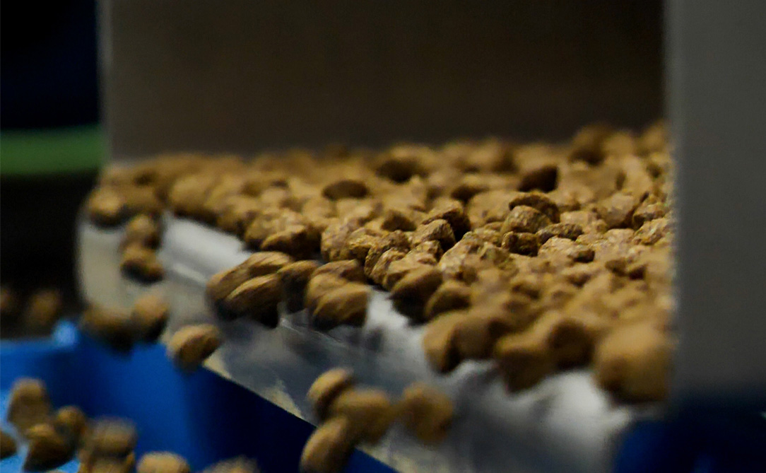 Recent advancements to extrusion technology benefit pet food and treat processors