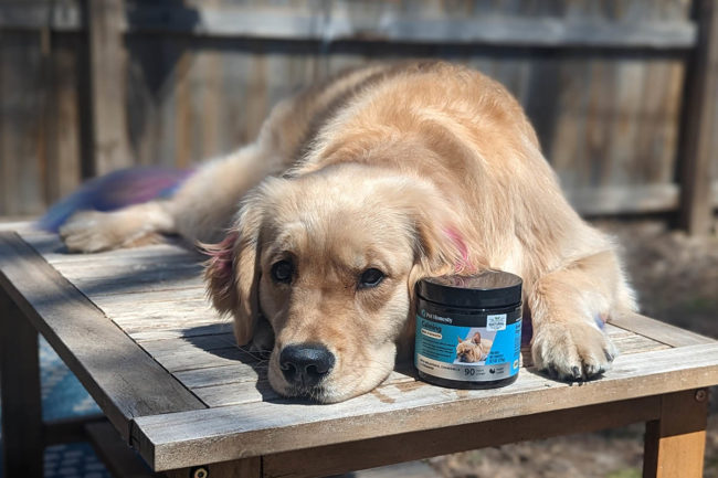 Pet Honesty shares the scoop behind its new Melatonin Calming supplement for dogs