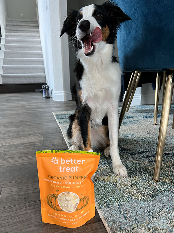 A Better Treat has introduced a freeze-dried, no-mess take on pumpkin, an ingredient known for its digestive health benefits