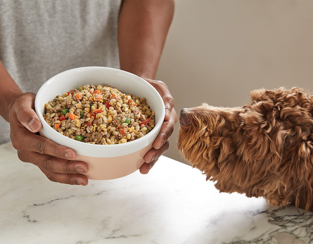 When it comes to its line of fresh pet food products, PetPlate strives to make its fresh-cooked food as “human-like” as possible.