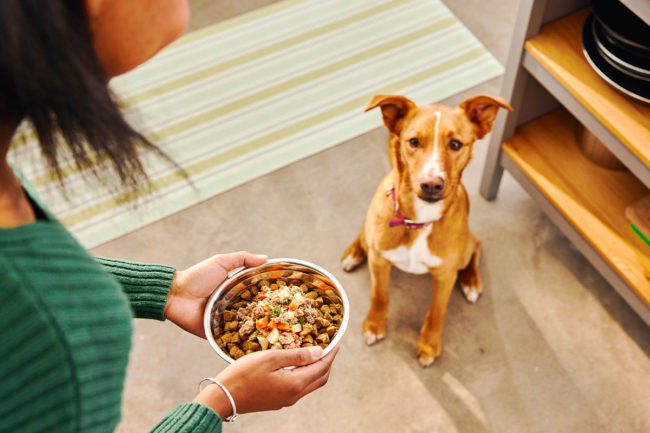 Pet parents are searching for more food options for their furry companions that mirror the way that they like to eat.
