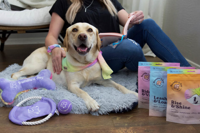 Bundle x Joy partners with domestic and abuse support platforms to help pets and owners in need