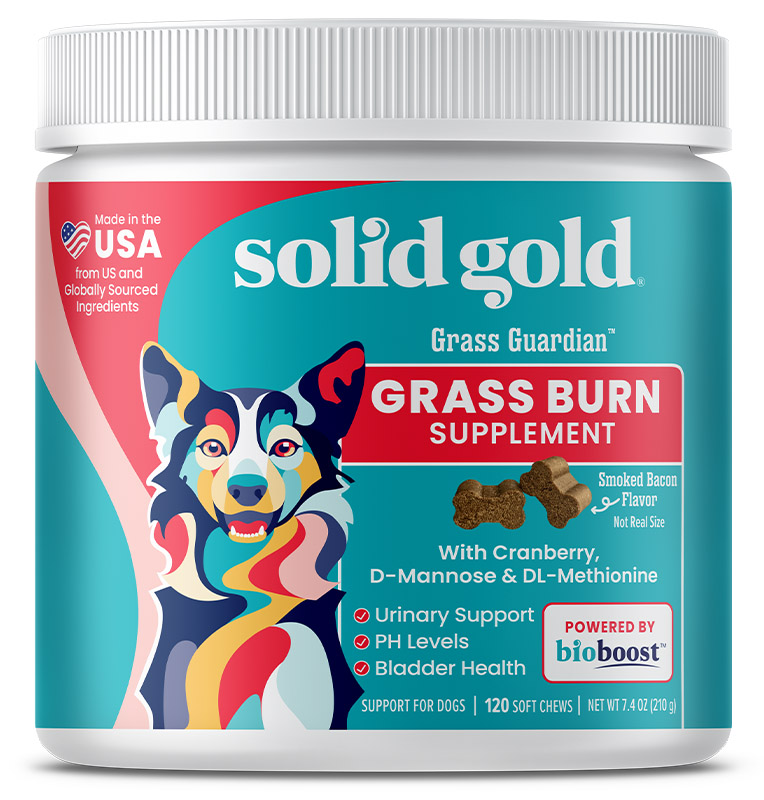 Grass Burn supplement for dogs by Solid Gold Pet