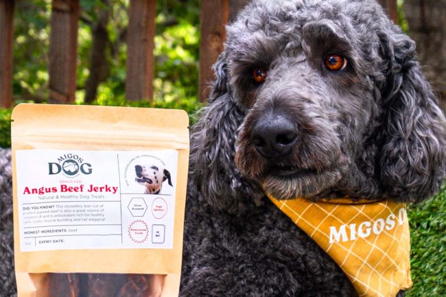 MIGOS DOG adds jerky treats to dog nutrition lineup