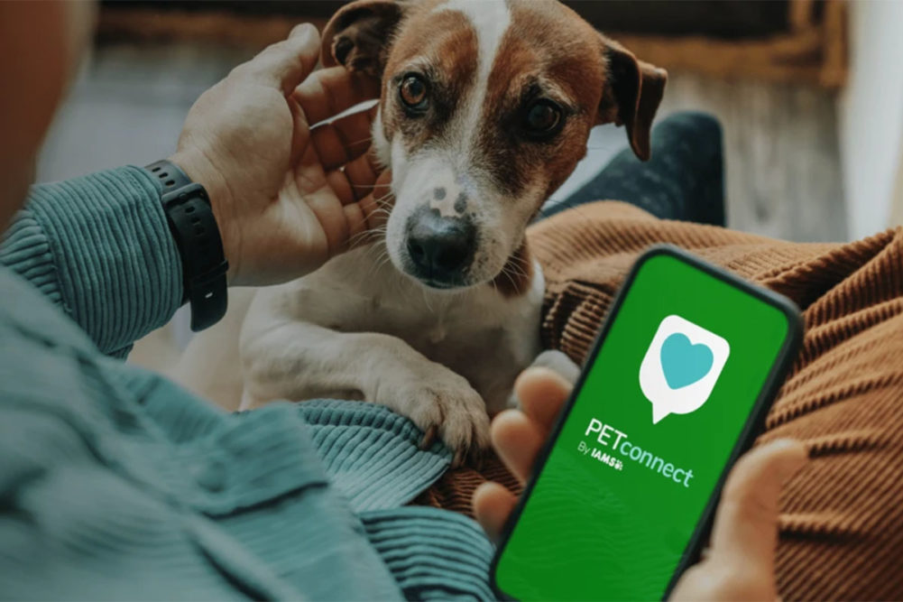 IAMS launches PETconnect service to provide expert advice on nutrition to pet parents
