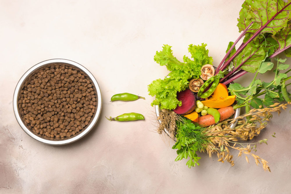 Superlatus to launch plant-based pet foods and treats in 2024