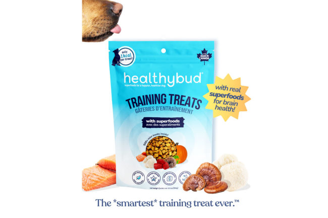 Healthybud's Mini Training Treats will launch next month