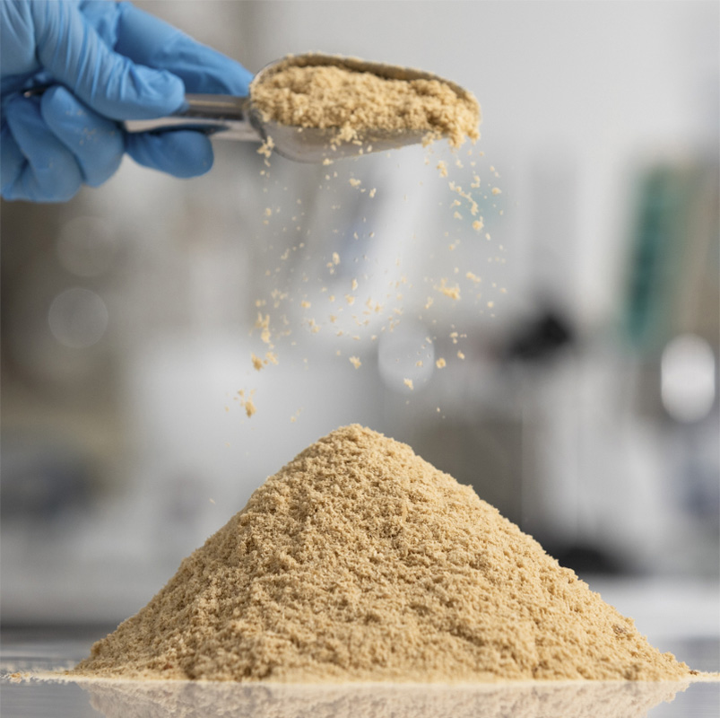 AlgaPrime DHA P3 offers the highest levels of DHA in biomass powder form currently on the market today, according to Corbion