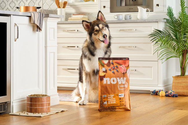 Petcurean’s NOW FRESH™ line offers diets for dogs and cats of all life stages
